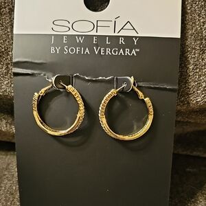 Sophia Vergara Hoop Earrings